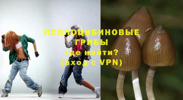 Альфа ПВП Бугульма
