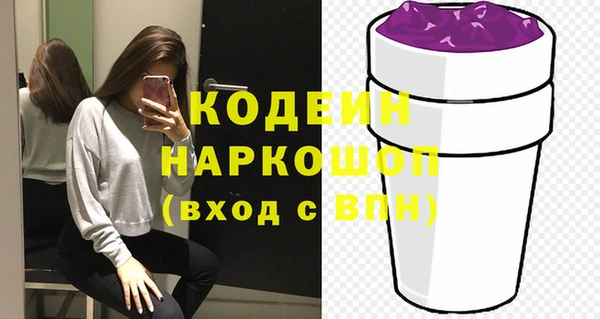 spice Бородино