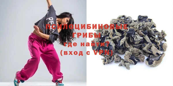 spice Бородино