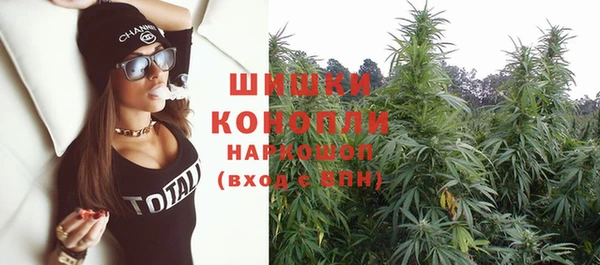 Альфа ПВП Бугульма