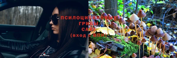 Альфа ПВП Бугульма