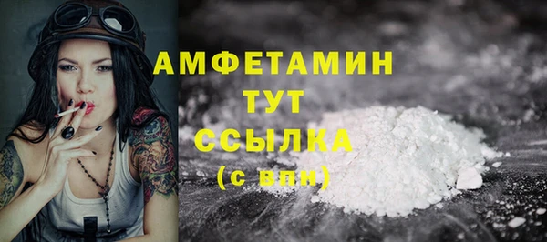 spice Бородино