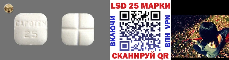 LSD-25 экстази ecstasy  Купить  Новотроицк 