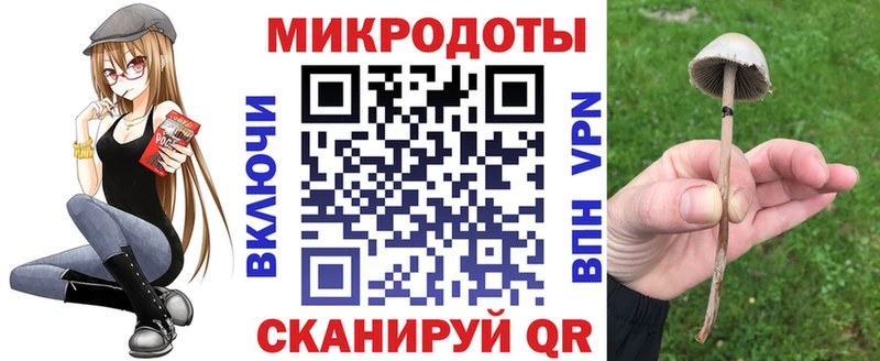 Галлюциногенные грибы мухоморы  Купить  Новотроицк 